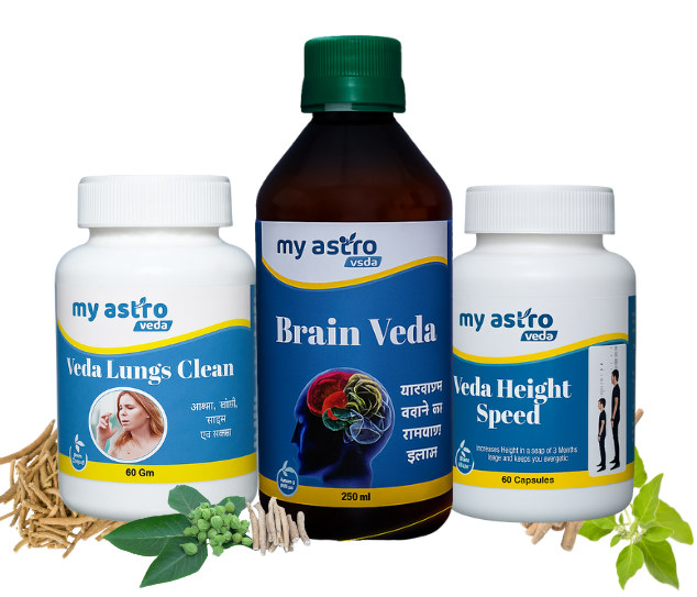 my astro veda logo (634 x 543 px) (1)